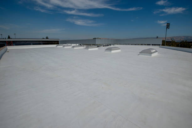 Best Cold Roofs  in Estill, SC