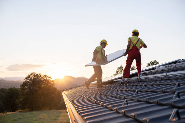 Best Roof Leak Repair  in Estill, SC