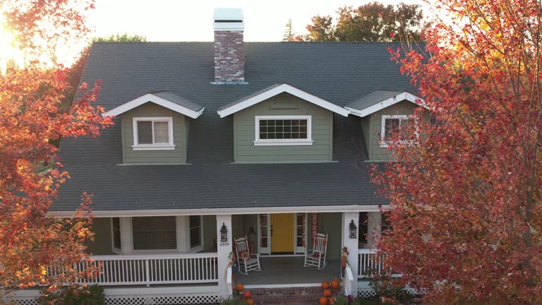 Best 4 Ply Roofing  in Estill, SC