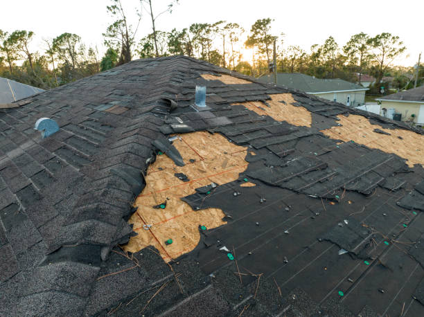 Best Emergency Roof Repair Services  in Estill, SC