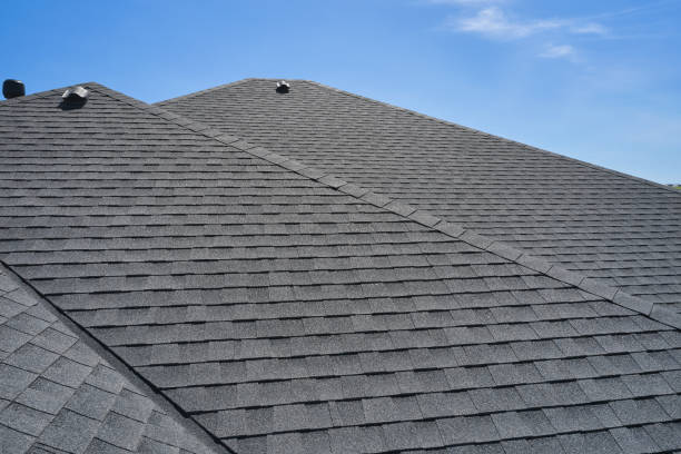 Best Roof Insulation Installation  in Estill, SC