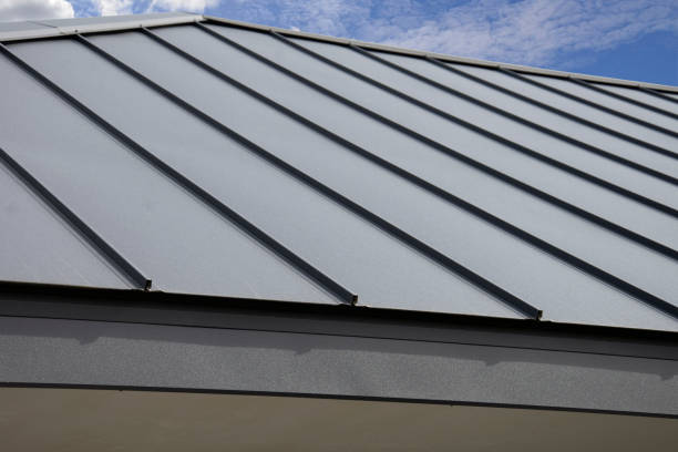 Best Solar Panel Roofing Installation  in Estill, SC